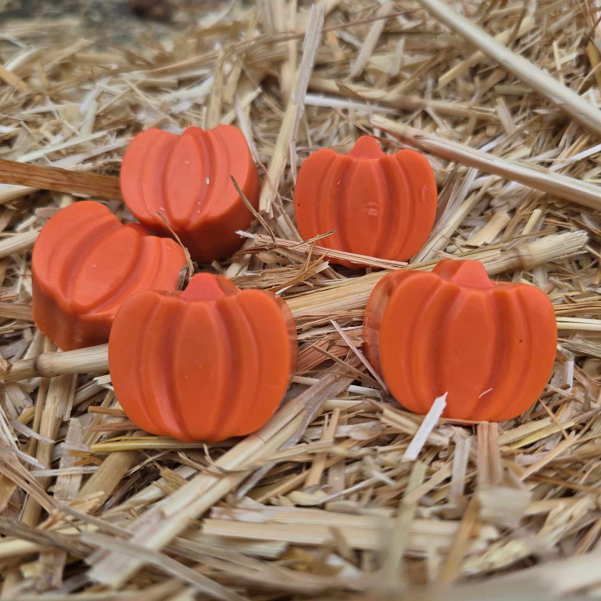Wax Melts - Set of 5